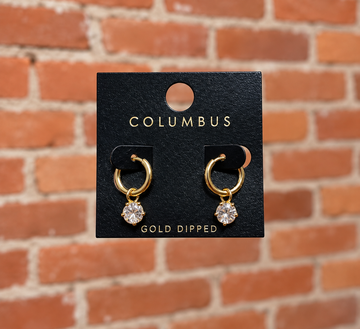 Round Dangle Earrings